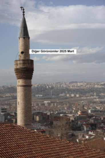 Diğer görüşler 2025 Mart - cover