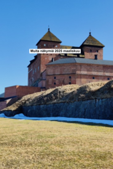 Muita näkemyksiä 2025 Maaliskuu - cover