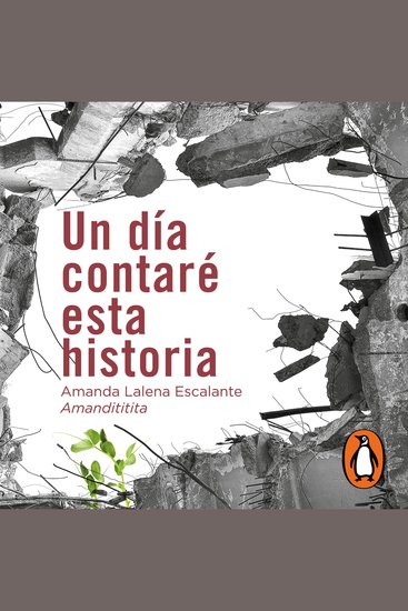 Un día contaré esta historia - cover