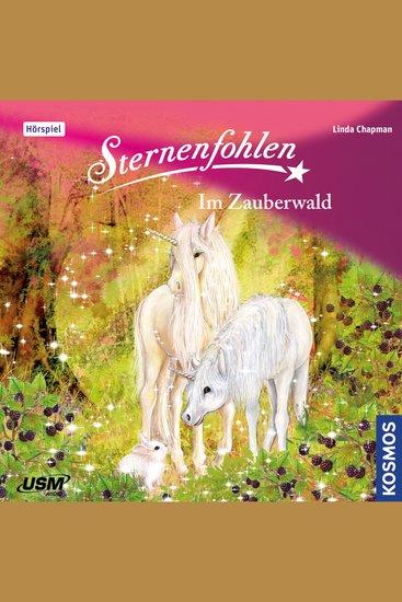 Sternenfohlen Teil 13: Im Zauberwald - cover