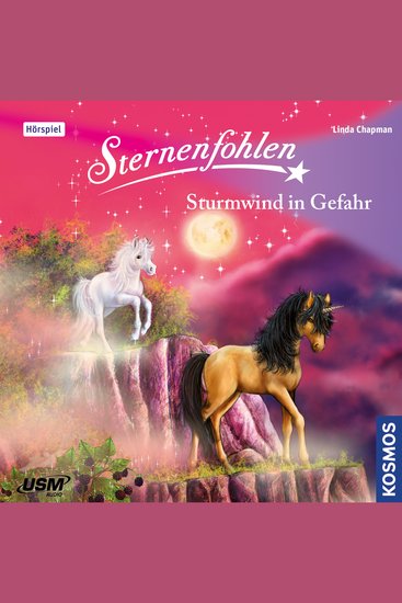 Sternenfohlen Teil 15: Sturmwind in Gefahr - cover