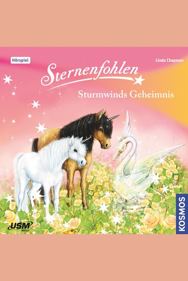 Sternenfohlen Teil 8: Sturmwinds Geheimnis - cover