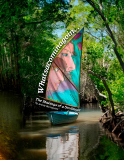 Whatsacominagoin - The Makings of a Soulmate - cover