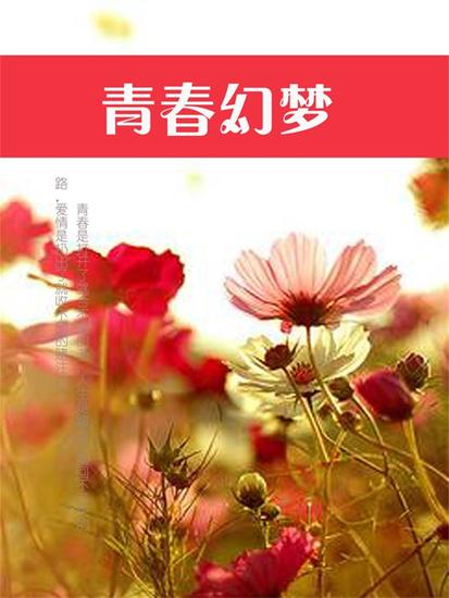 青春幻梦 - cover