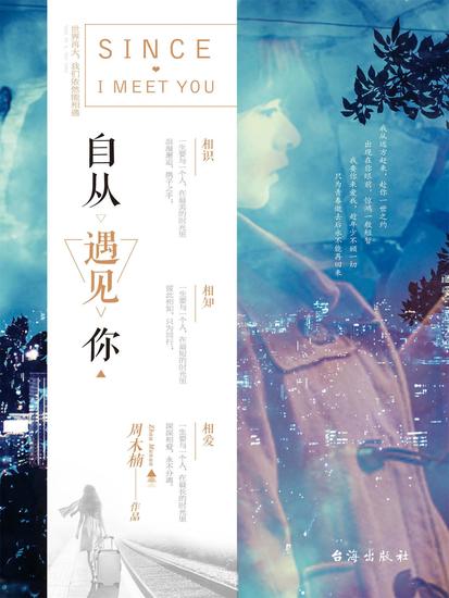 自从遇见你 - cover