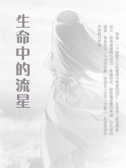 生命中的流星 - cover