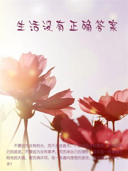 生活没有正确答案 - cover