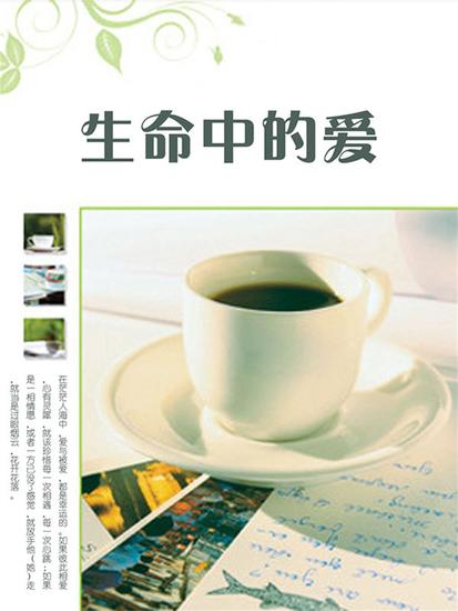 生命中的爱 - cover