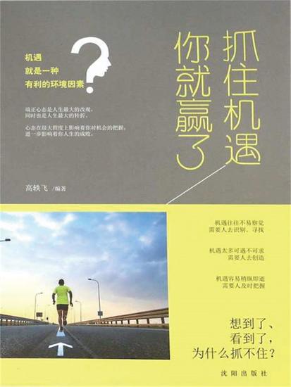 抓住机遇你就赢了 - 简体中文版 - cover