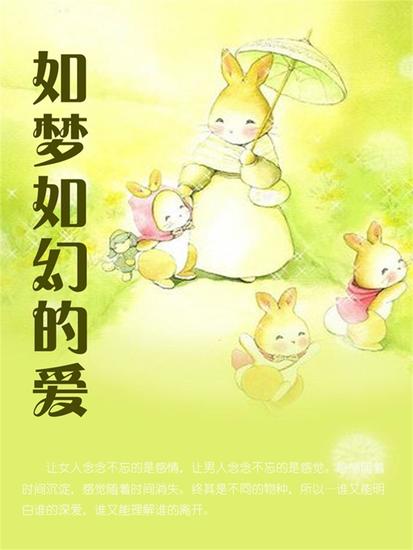 如梦如幻的爱 - cover