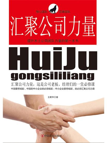 汇聚公司力量：提升本土公司团队力量的第一本书 - cover