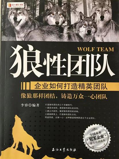 狼性团队：企业如何打造精英团队 - cover