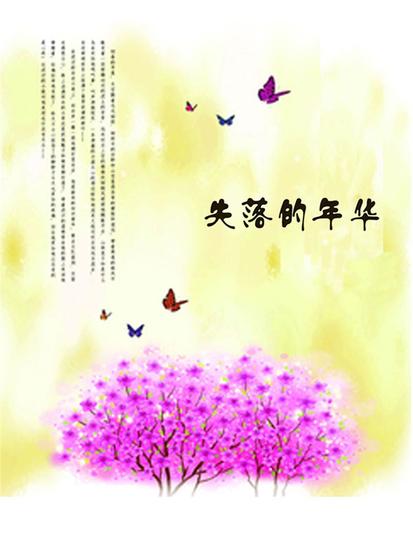 失落的年华 - cover