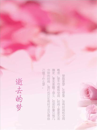 逝去的梦 - cover