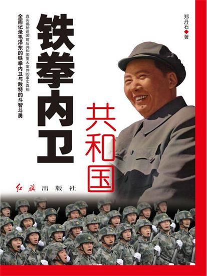 共和国铁拳内卫 - cover