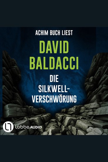 Die Silkwell-Verschwörung (Gekürzt) - cover