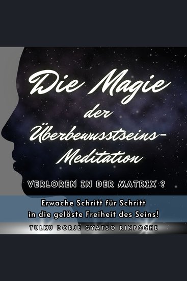 Die Magie der Überbewusstseins-Meditation - Verloren in der Matrix ? Erwache Schritt für Schritt in die gelöste Freiheit des Seins - cover