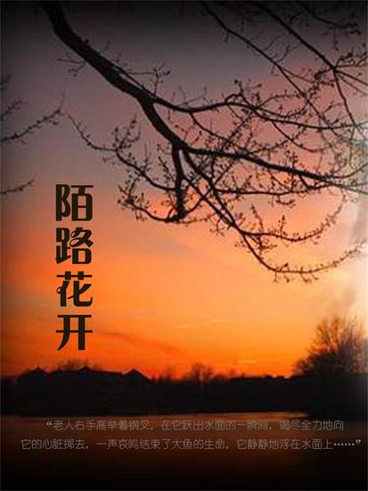 陌路花开 - cover