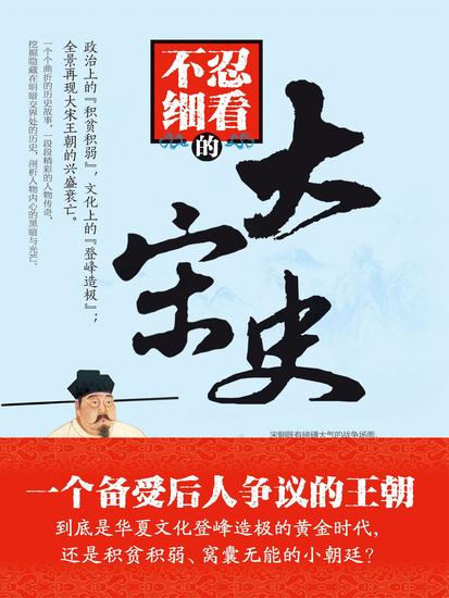 不忍细看的大宋史 - cover