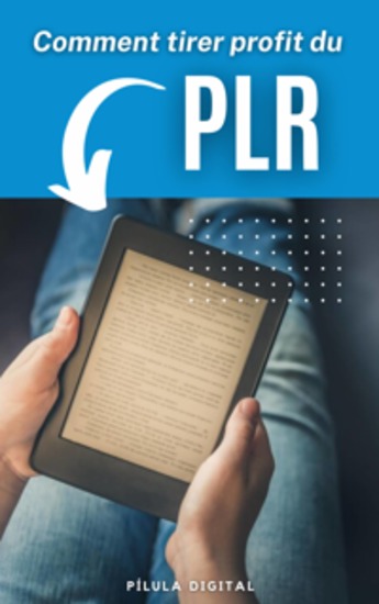 Comment Tirer Profit Du Plr - cover