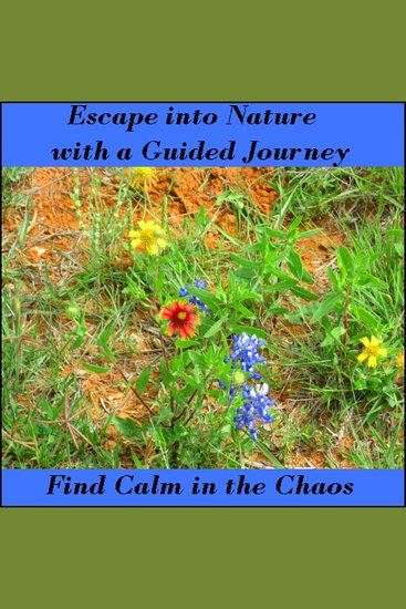 Escape Into Nature With A Guided Journey – Find Calm in the Chaos - cover