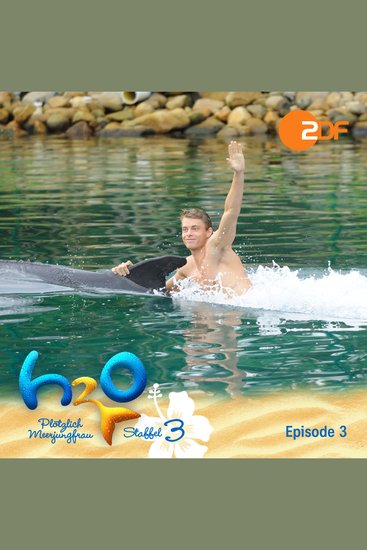 Staffel 3 Episode 3: Traumjob oder Albtraum? - Das Original-Hörspiel zur TV-Serie - cover