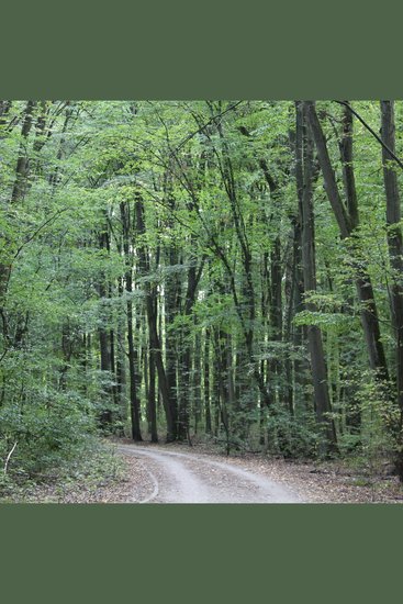 Winnie-the-Pooh - cover