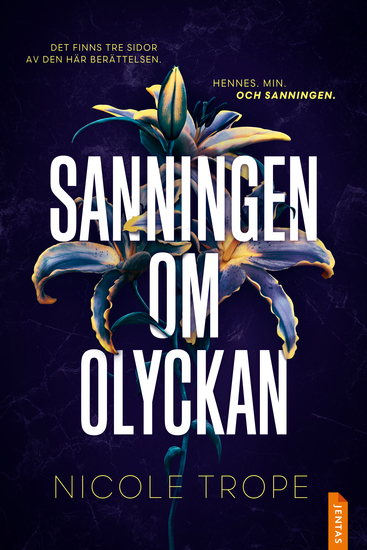 Sanningen om olyckan - cover