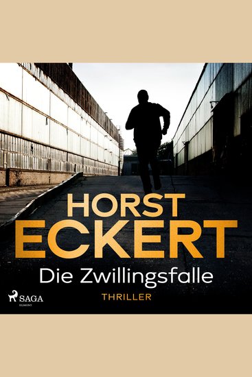 Die Zwillingsfalle - cover