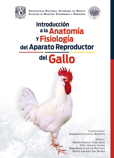 Introducción a la anatomía y fisiología del aparato reproductor del gallo - cover