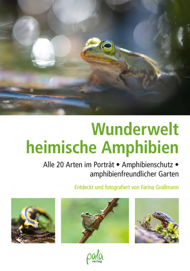 Wunderwelt heimische Amphibien - Alle 20 Arten im Porträt Amphibienschutz amphibienfreundlicher Garten - cover
