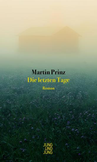 Die letzten Tage - Roman - cover
