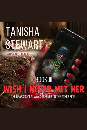 Wish I Never Me Her - cover