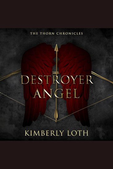 Destroyer Angel - cover