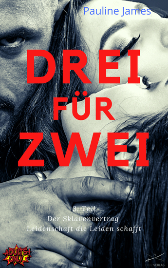 Der Sklavenvertrag Teil 3 - Drei für Zwei #sklave #bdsm #fetisch - cover