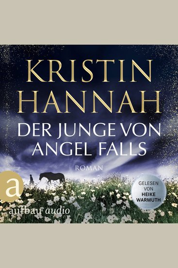Der Junge von Angel Falls - Wenn Engel schweigen (Gekürzt) - cover