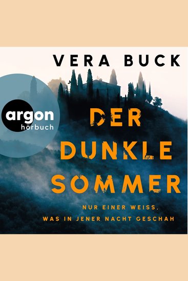 Der dunkle Sommer (Ungekürzte Lesung) - cover