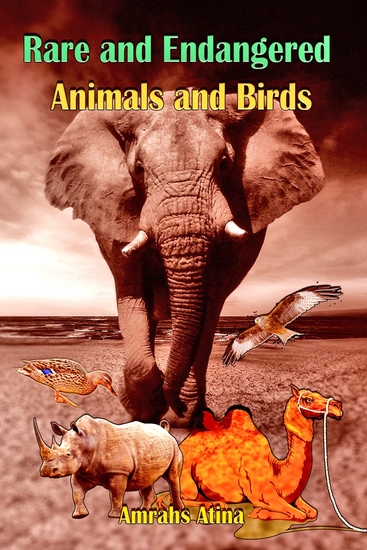 Rare and Endangered Animals and Birds - cover