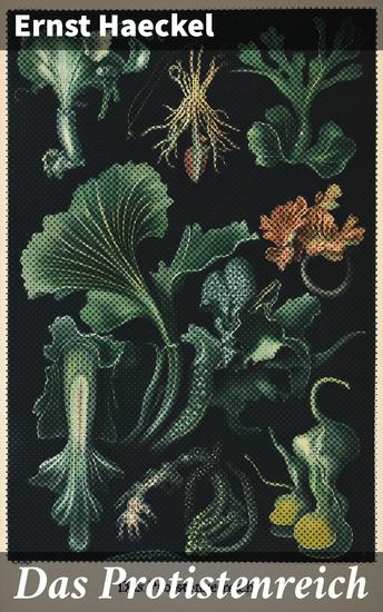 La Ville au Bois dormant : De Saïgon à Ang-Kor en automobile - cover