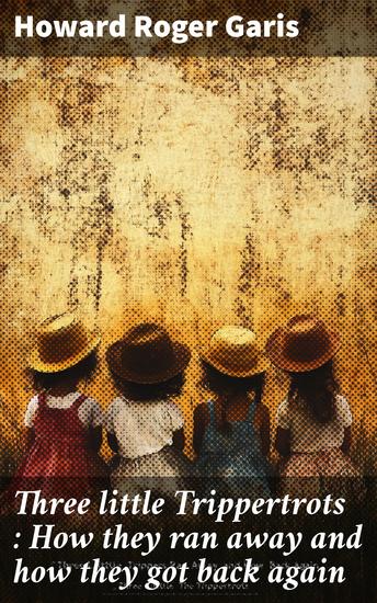 Outlines of mineralogy - cover