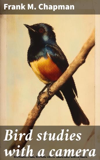 The wonderful fan - cover