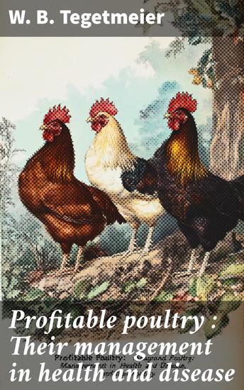 The collected stories of Elisabeth Sanxay Holding - cover