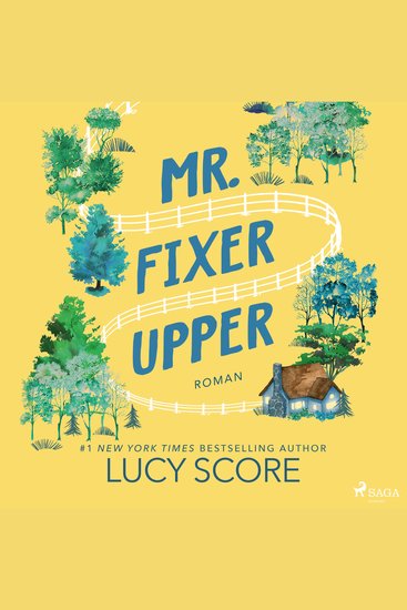 Mr Fixer Upper - cover