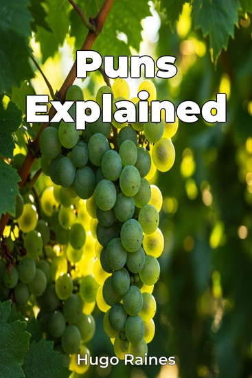 Puns Explained - cover