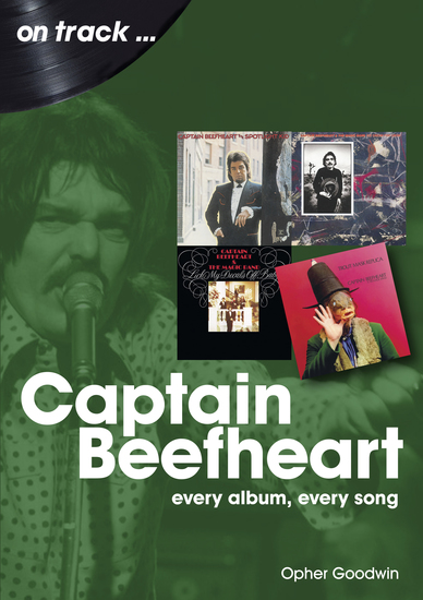 Captain Beefheart - Every Album Every Song - cover