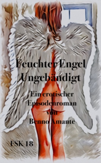 Feuchter Engel - Ungebändigt - Ein erotischer Episodenroman - cover