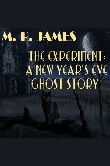 Experiment The: A New Year's Eve Ghost Story - cover