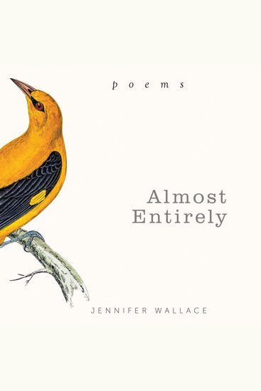 Almost Entirely - Poems - cover