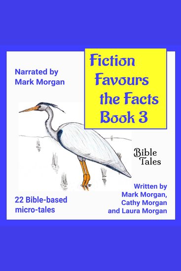 Fiction Favours the Facts – Book 3 - Yet another 22 Bible-based micro-tales - cover