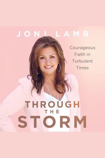 Through the Storm - cover